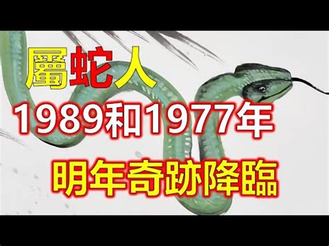 1989五行|1989年属蛇是什么命，89年出生五行属什么